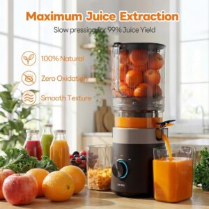 Aeitto 3-in-1 Juicer Machines, 6.0" Wide Mouth Hopper, Easy to Clean Juice, Sorbet & Nut Milk | With Recipe Cold Press Juicer | 100oz Capacity | Easy to Assembly & Reverse Function | With Pusher - Image 6