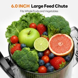 Aeitto 3-in-1 Juicer Machines, 6.0" Wide Mouth Hopper, Easy to Clean Juice, Sorbet & Nut Milk | With Recipe Cold Press Juicer | 100oz Capacity | Easy to Assembly & Reverse Function | With Pusher - Image 8