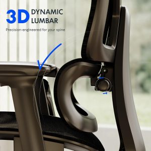 FLEXISPOT ErgoX Premium Ergonomic Office Chair Black-FT Adjustable Armrests, Dynamic Lumbar Support, Recline & Tilt Function, Mesh with Footrest, Home & Office Use - Image 5